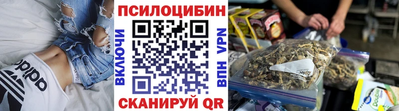 ссылка на мегу рабочий сайт  Новоульяновск  Псилоцибиновые грибы мухоморы 